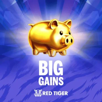 ทดลองเล่น Big Gains