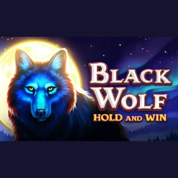 ทดลองเล่น Black Wolf Hold and Win