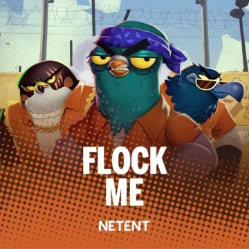 ทดลองเล่น Flock Me
