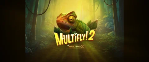 ทดลองเล่น MultiFly! 2 MultiMax