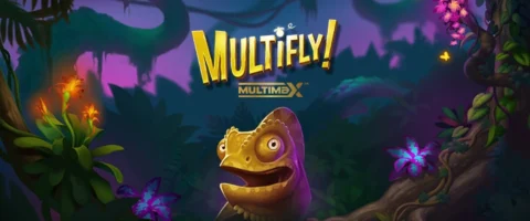 ทดลองเล่น Multifly! MultiMax