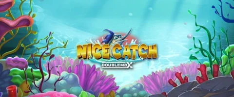 ทดลองเล่น Nice Catch DoubleMax
