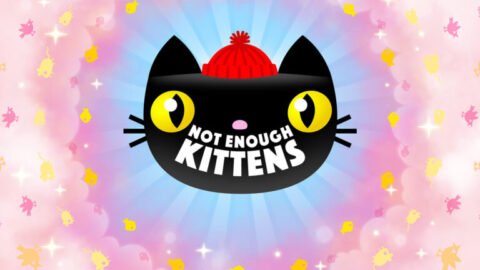 ทดลองเล่น Not Enough Kittens