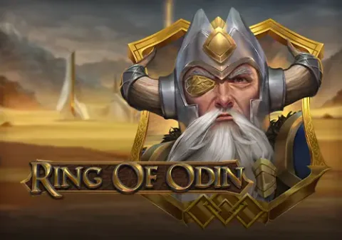 ทดลองเล่น Ring of Odin