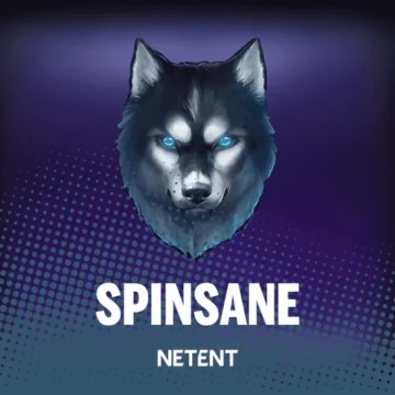 ทดลองเล่น Spinsane™