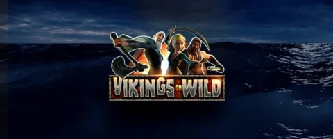 ทดลองเล่น Vikings Go Wild