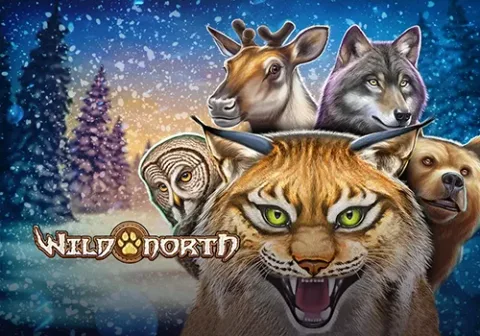 ทดลองเล่น Wild North