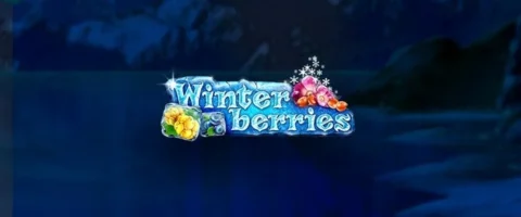 ทดลองเล่น Winterberries
